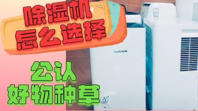 抽湿器/除湿机如何选?无广测评公开闭眼入产品