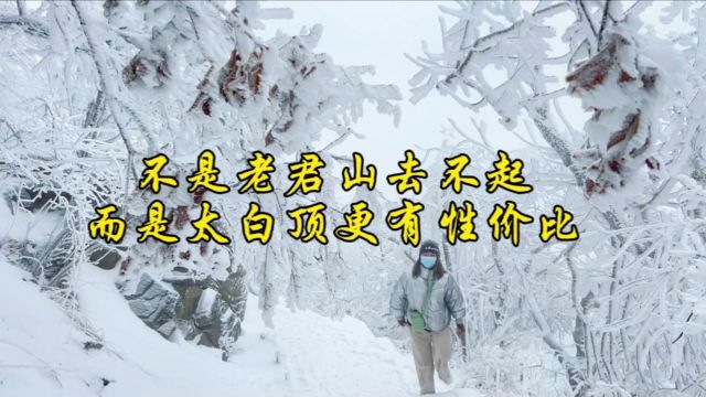 不是老君山去不起,而是桐柏太白顶更有性价比