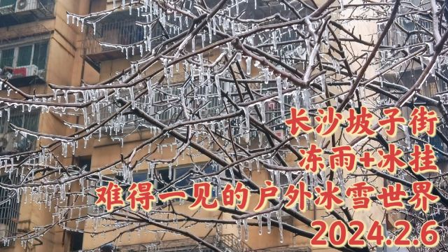 长沙坡子街,冻雨+冰挂,难得一见的城区户外冰雪世界,2024.2.6