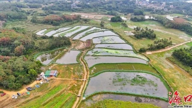 农民的苦日子来了,2024年起,农村养殖户将会更难,要早做打算