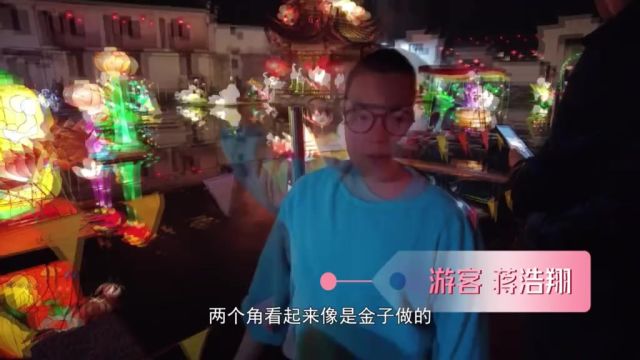 逛灯赏景 李宅花灯绽放迎客来7