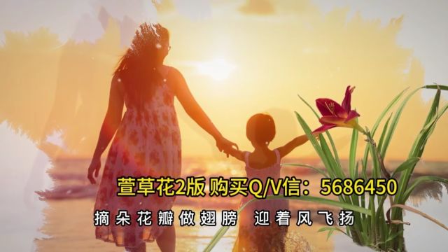 萱草花2版 感恩母亲母爱儿童节目晚会大屏幕 LED背景视频素材