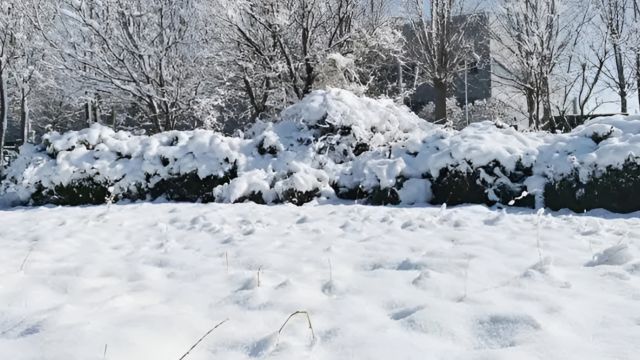 湖北今日多地发布暴雪预警,请注意防范!