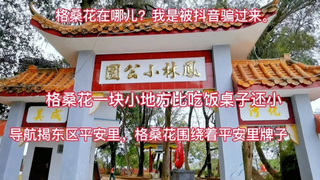 揭阳揭东区鸟围村,平安里,和泉里,被抖音骗过来,没格桑花