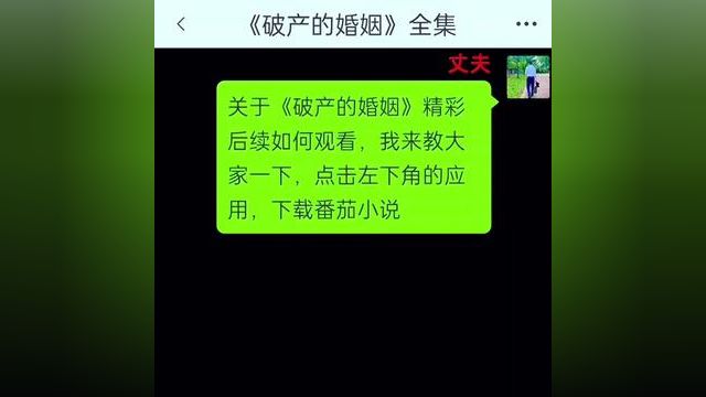 《破产的婚姻》全集#番茄小说