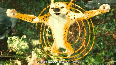 一只可爱的长尾豹，电影《追踪长尾豹马修》