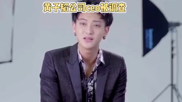 黄子韬公司ceo被调查