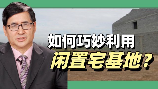 如何巧妙利用闲置宅基地?郑风田:因地制宜,寻找创新之路