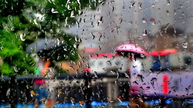 上海大雨!气象预报又“全黑”了?多地紧急通知:停课、延迟开学!