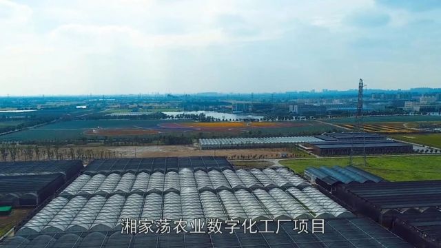 全市唯一!南湖区获2023年全省投资“赛马”激励