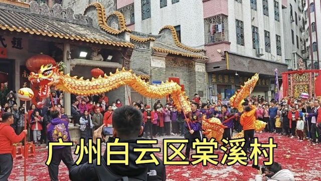 广州白云区棠溪村闹元宵舞龙表演,吸引大批人围观,真的太精彩了