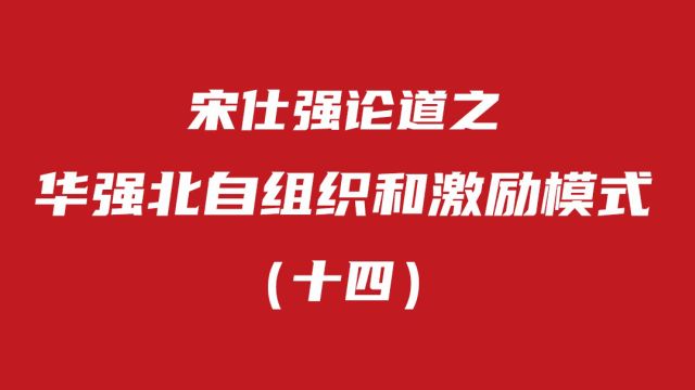 宋仕强论道之华强北自组织和激励模式(十四):