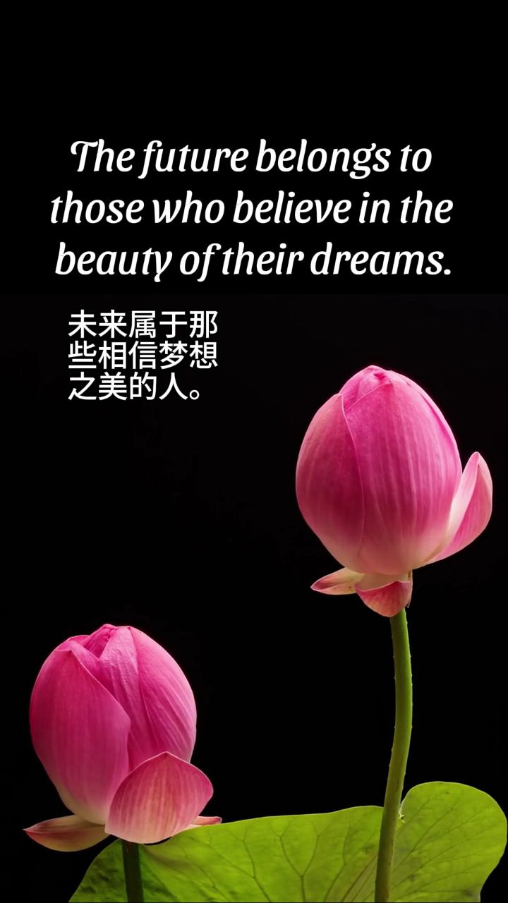 未来与梦想 | 英语名言警句 #10 | 英语口语 | 英语学习 | learn engl