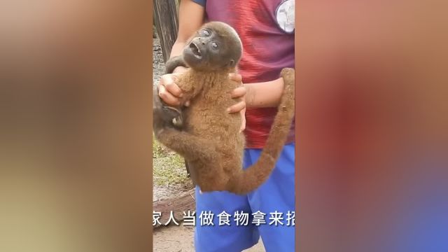 亚马逊猫人部落原始部落纪录片无不良引导,请通过荒野求生原始部落纪录片解说