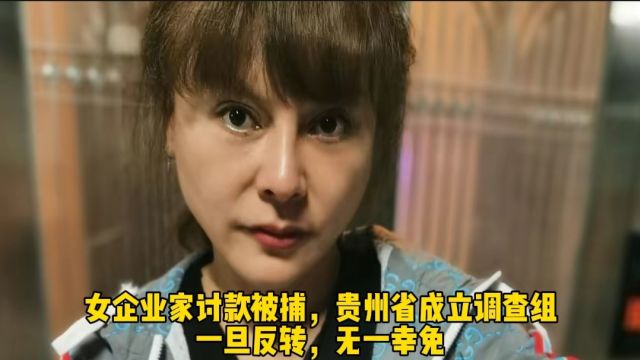 女企业家讨款被捕,贵州省成立调查组,一旦反转,无一幸免