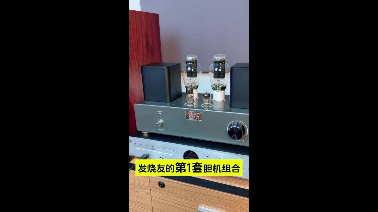 bolisum宝丽森 发烧友的第1套胆机组合