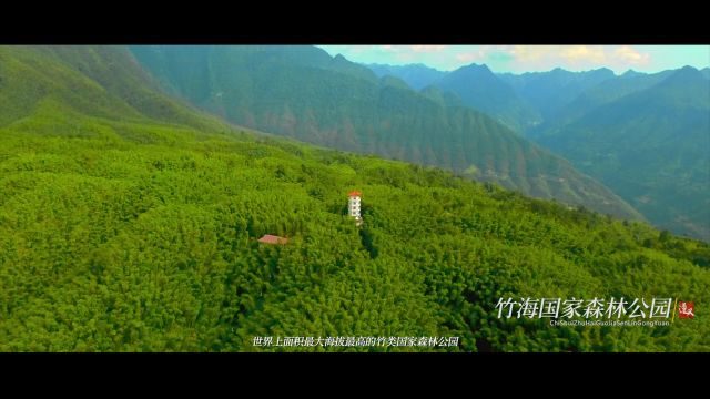 赤水河邀约橘子洲 遵义来湘开展文旅推介会