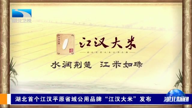 湖北首个江汉平原省域公用品牌“江汉大米”发布