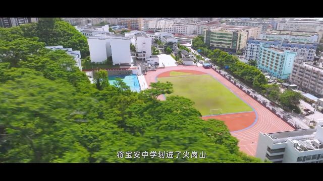 看深校尖岗山片区学校