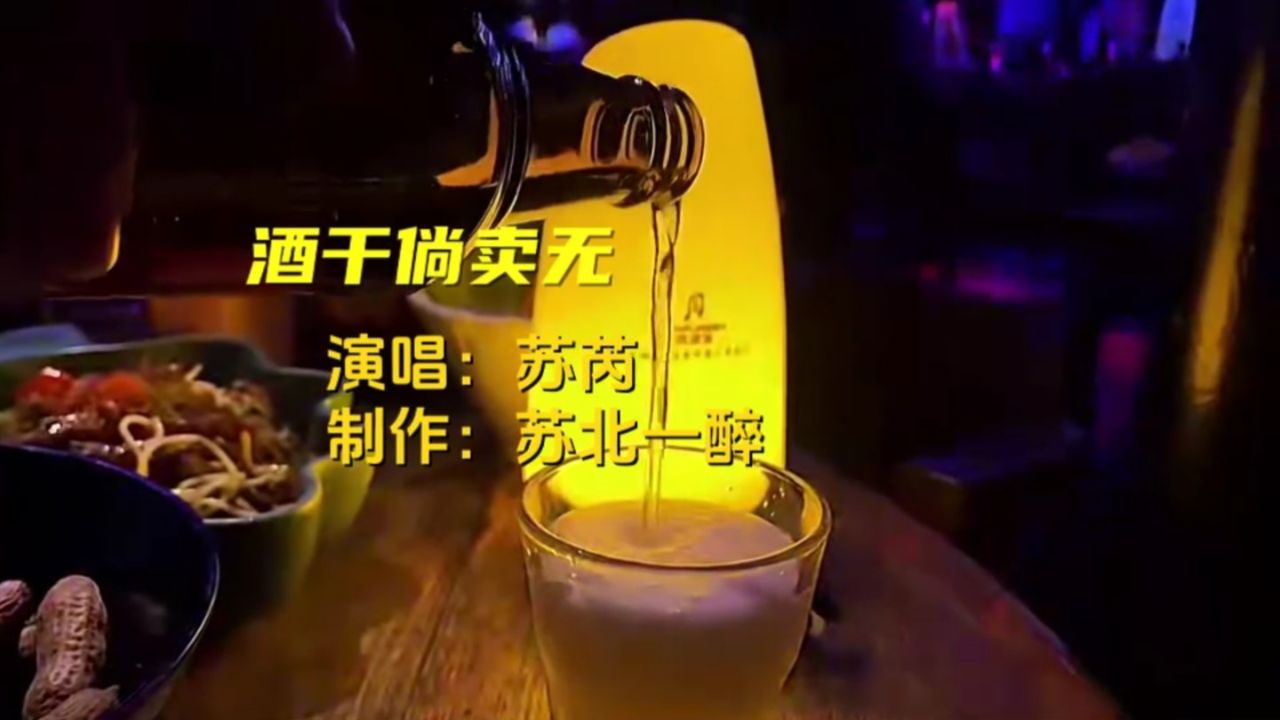 苏芮深情演唱《酒干倘卖无》,歌声凄美伤感,听得让人流泪.