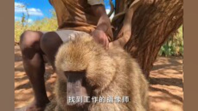 原始部落荒野求生,每天食物不重样荒野求生纪录片解说原始技术