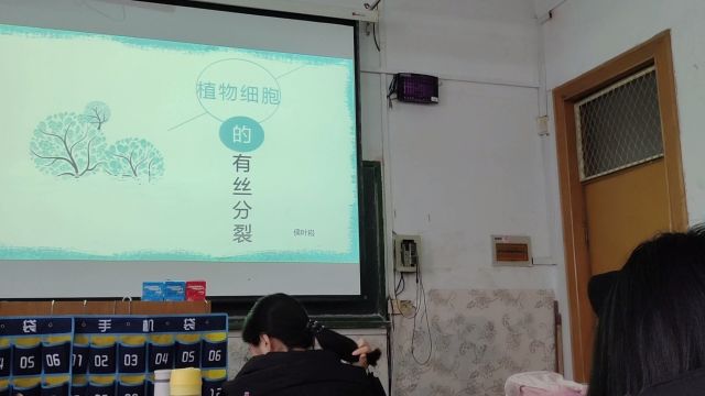 理学部2022级生物科学专业1班侯叶崧《植物细胞的有丝分裂》