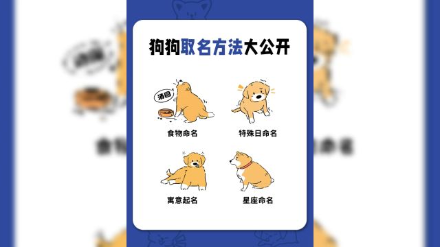 拿捏!狗狗取名方法大公开,怎么给狗狗改名字?