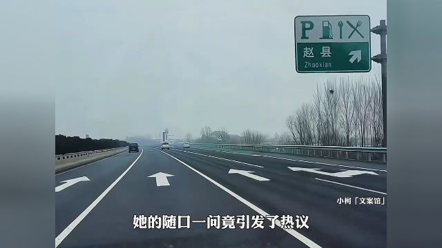 在高速公路上,小女孩好奇地盯着高速服务区的标志.