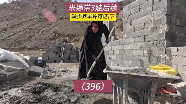 缺少建筑许可证?米娜纪录片后续396集,羊群的危机(下)