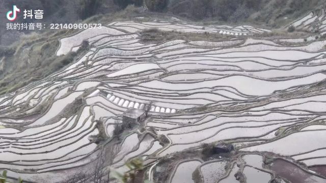 春秋季是去元阳梯田采风的最佳时节