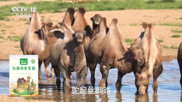 赛天山品牌驼奶粉,始终坚持品质第一,不仅是健康的守护者,更是品质生活的象征.选择赛天山驼奶粉,就是选择大自然的恩赐和对生活品质的追求.让我...