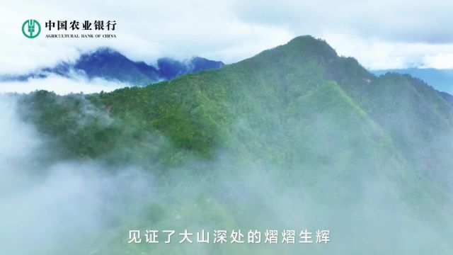 中国农业银行广西分行2024年春季招聘正式报名