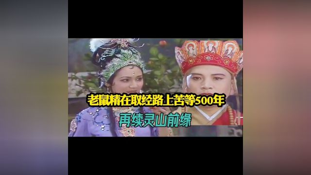 唐僧跟金鼻白毛老鼠精有什么样的情史纠葛?缘由何起呢?再忆经典西游记唐僧老鼠精