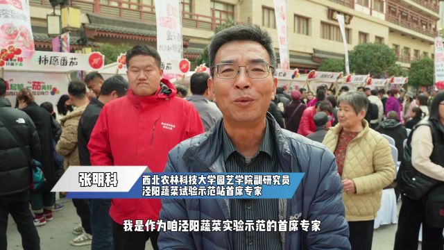 西北农林科技大学专家张明科:为泾阳西红柿产业提供全方位服务