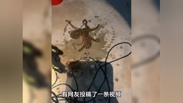 我特么猛的一紧