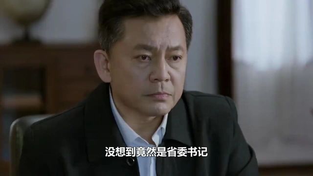 李子平自首锒铛入狱,意外揭露省委幕后黑手,惊呆王宬