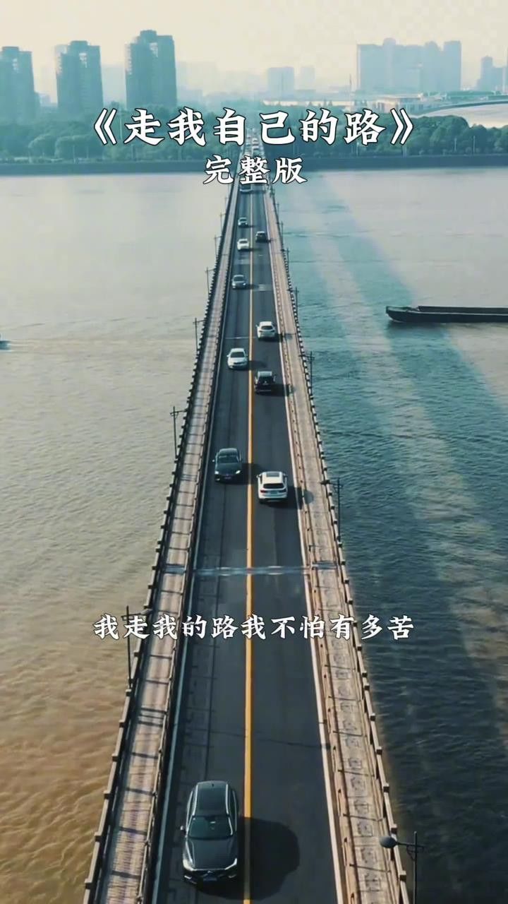 伤感音乐#走我自己的路#音乐#音乐分享