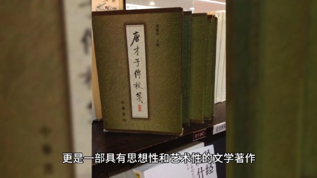 《唐才子传》:西域少数民族作家辛文房编撰的唐代诗人秘密档案