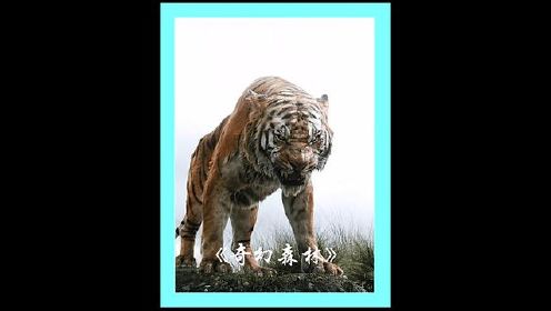 父亲为了保护孩子，拼命和老虎搏斗，孩子却被一只豹子发现！#奇幻森林 #影视解说