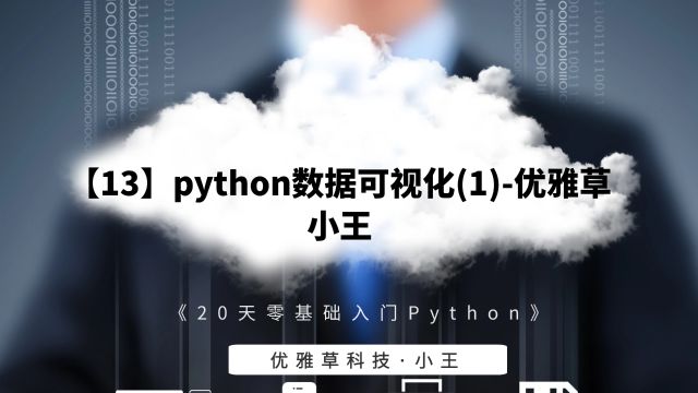 【13】python数据可视化(1)优雅草小王