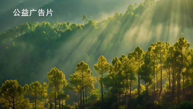 公益广告 | 筑牢防火屏障 守护绿水青山