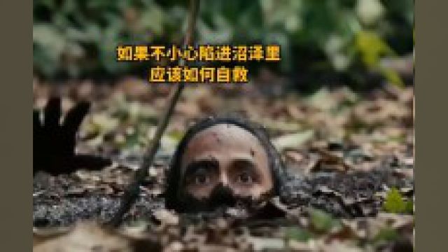 如果你在野外不小心陷入沼泽,应该如何自救?