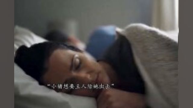 “想必大家小时候都有这样一个小猪存钱罐吧