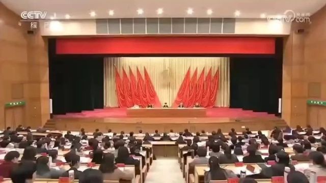 谌贻琴:深入学习贯彻习近平总书记关于妇女儿童和妇联工作的重要论述 在中国式现代化建设中推进妇女儿童事业高质量发展