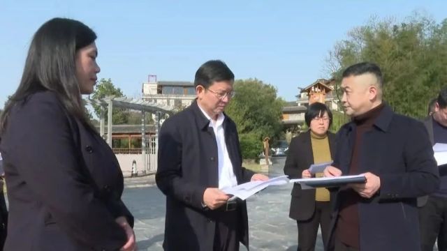 蒋良铁调研浯溪公园扩园、元结路延伸等项目建设工作