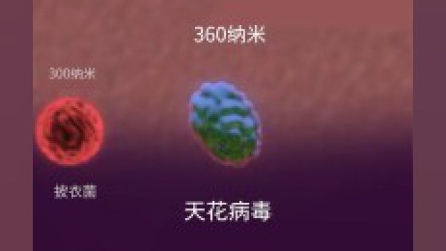 从最小到最大的微生物二