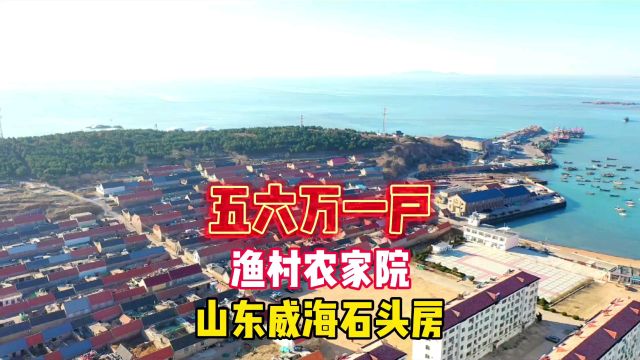 山东省威海市渔村农家院石头房五六万一户,鬼哥实地探房现场谈价#房价 #探房 #渔村 #石头房 #海边生活