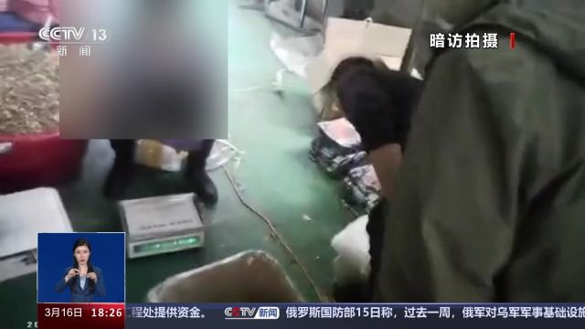 宠物粮里藏猫腻:仅净含量是真的 配料表“怎么好看怎么写”