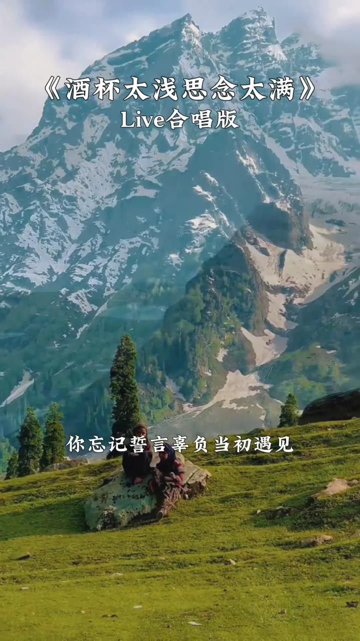 随缘#只有经历过的人才会懂#听哭了多少有故事的人#酒杯太浅思念太满