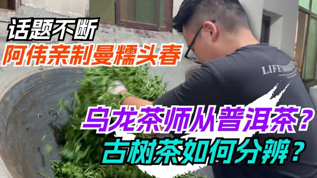 乌龙茶师从普洱茶?古树茶如何分辨?阿伟亲制曼糯头春话题不断!